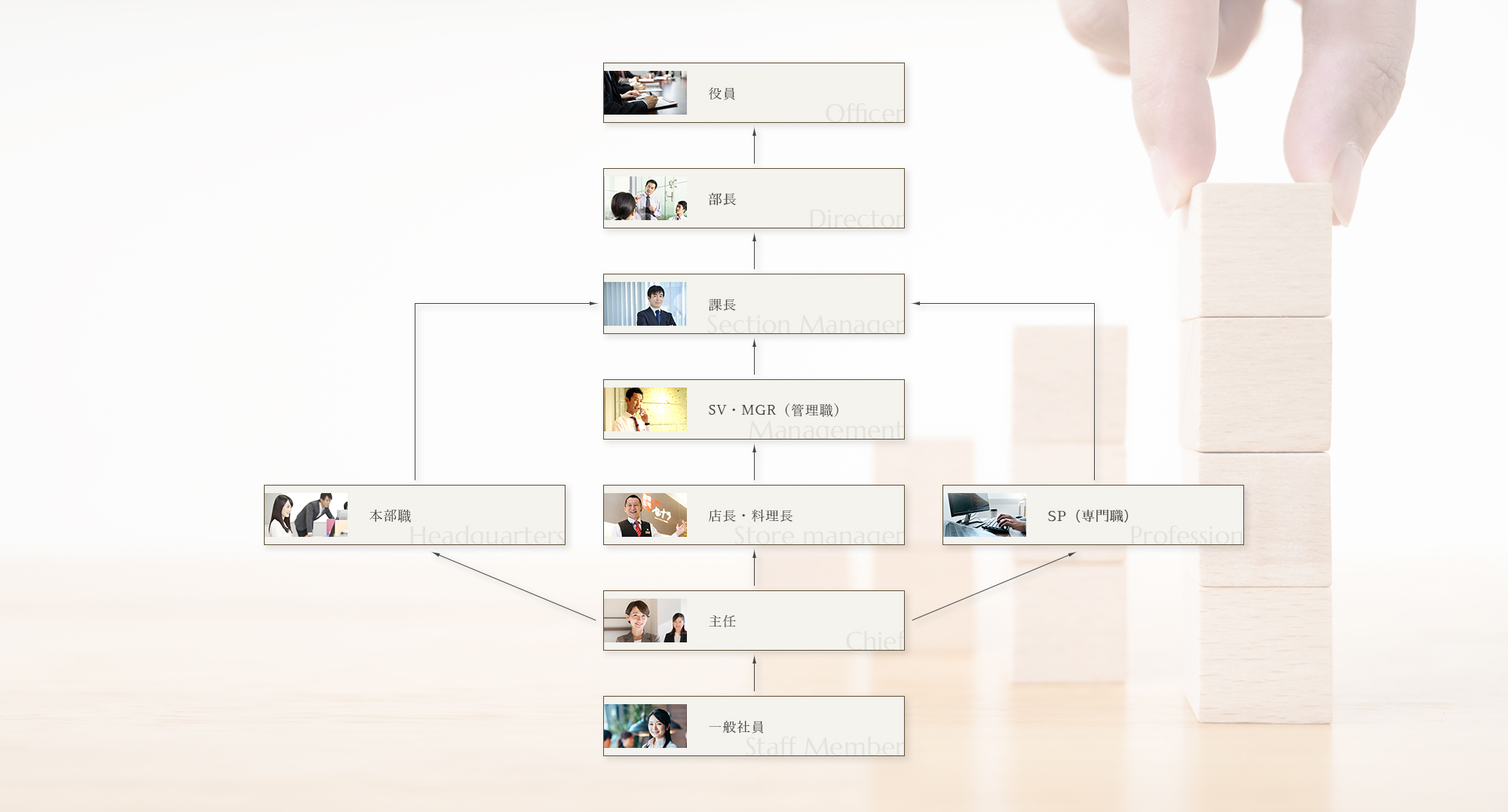 一般社員→主任（→本部職）（→SP(専門職)）→店長・料理長→SV・MGR（管理職）→課長→部長→役員