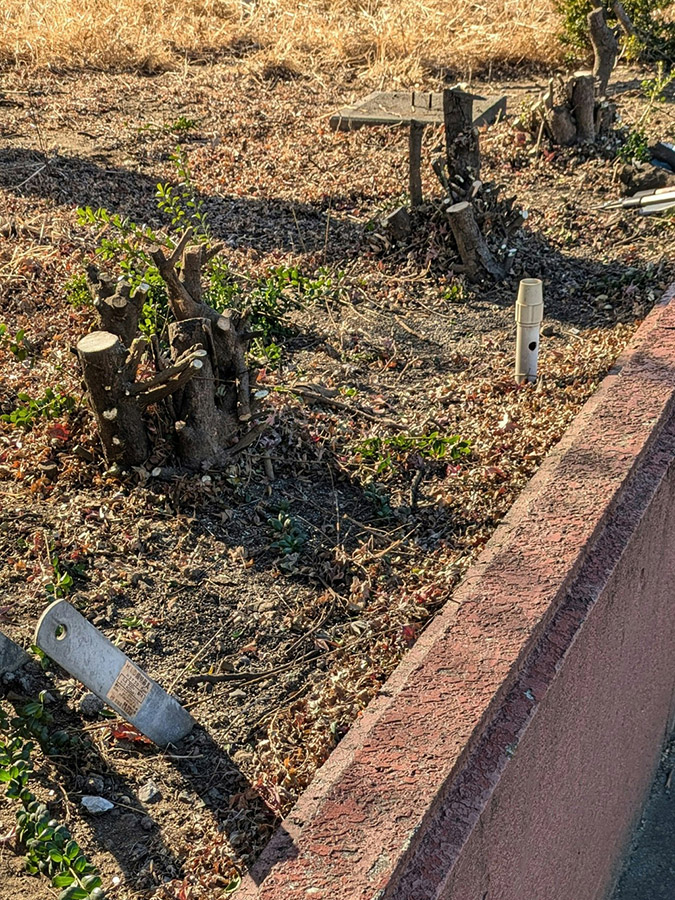 歩道沿いの植木を剪定しました