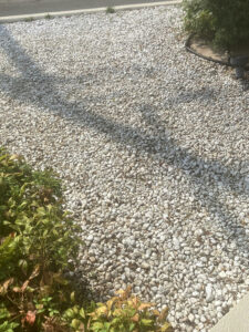 出入口の落ち葉清掃とデッキ清掃を行いました