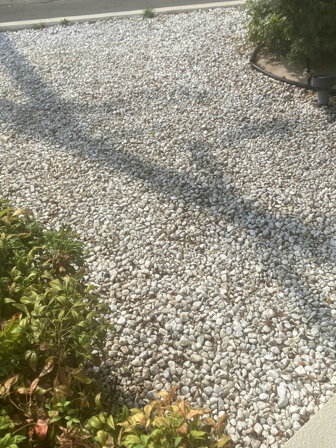 出入口の落ち葉清掃とデッキ清掃を行いました