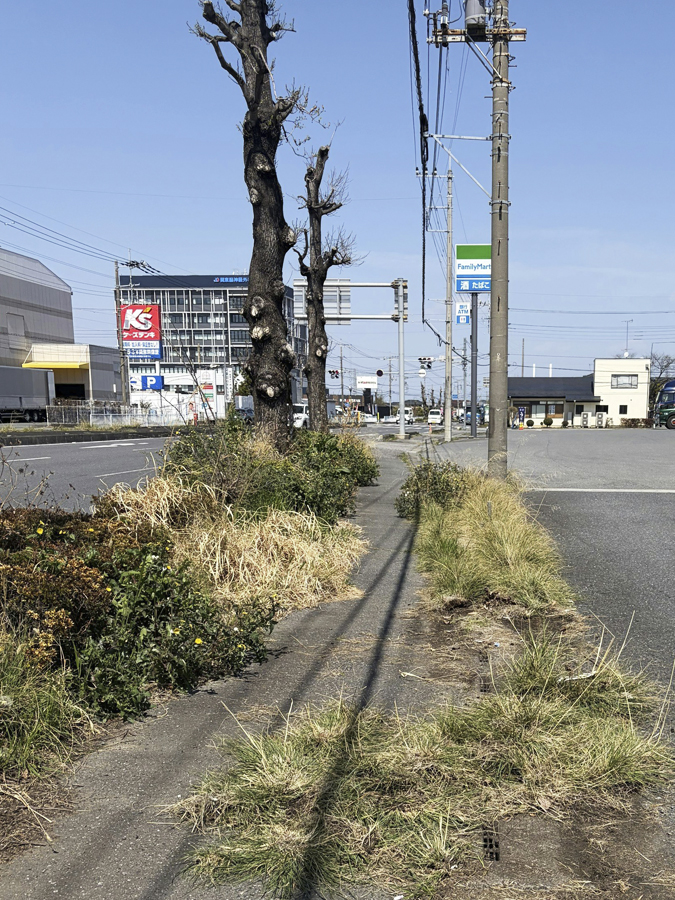熊谷店の定期清掃では、駐車場・国道沿いの除草作業を行いました。